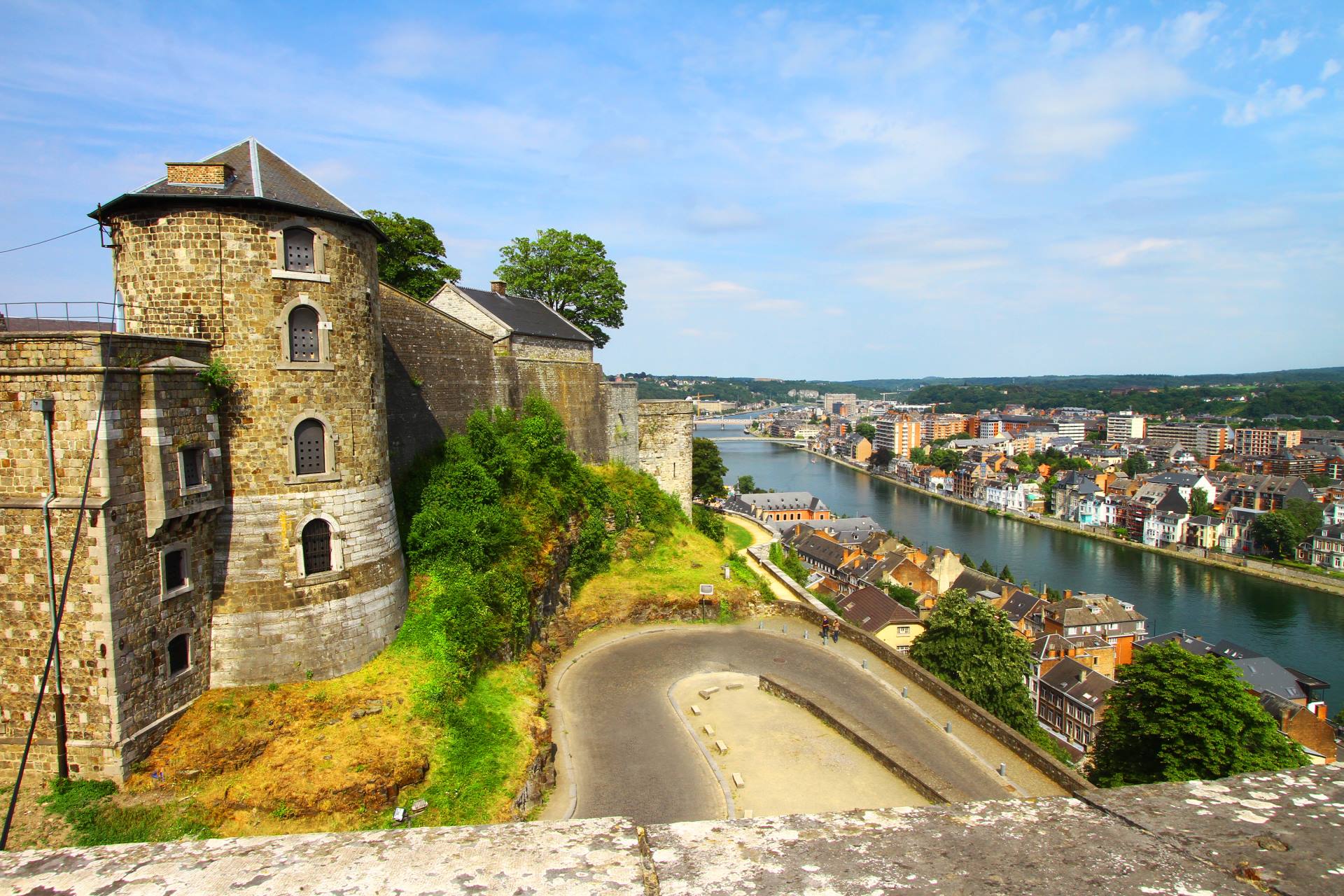 Бегония namur фото