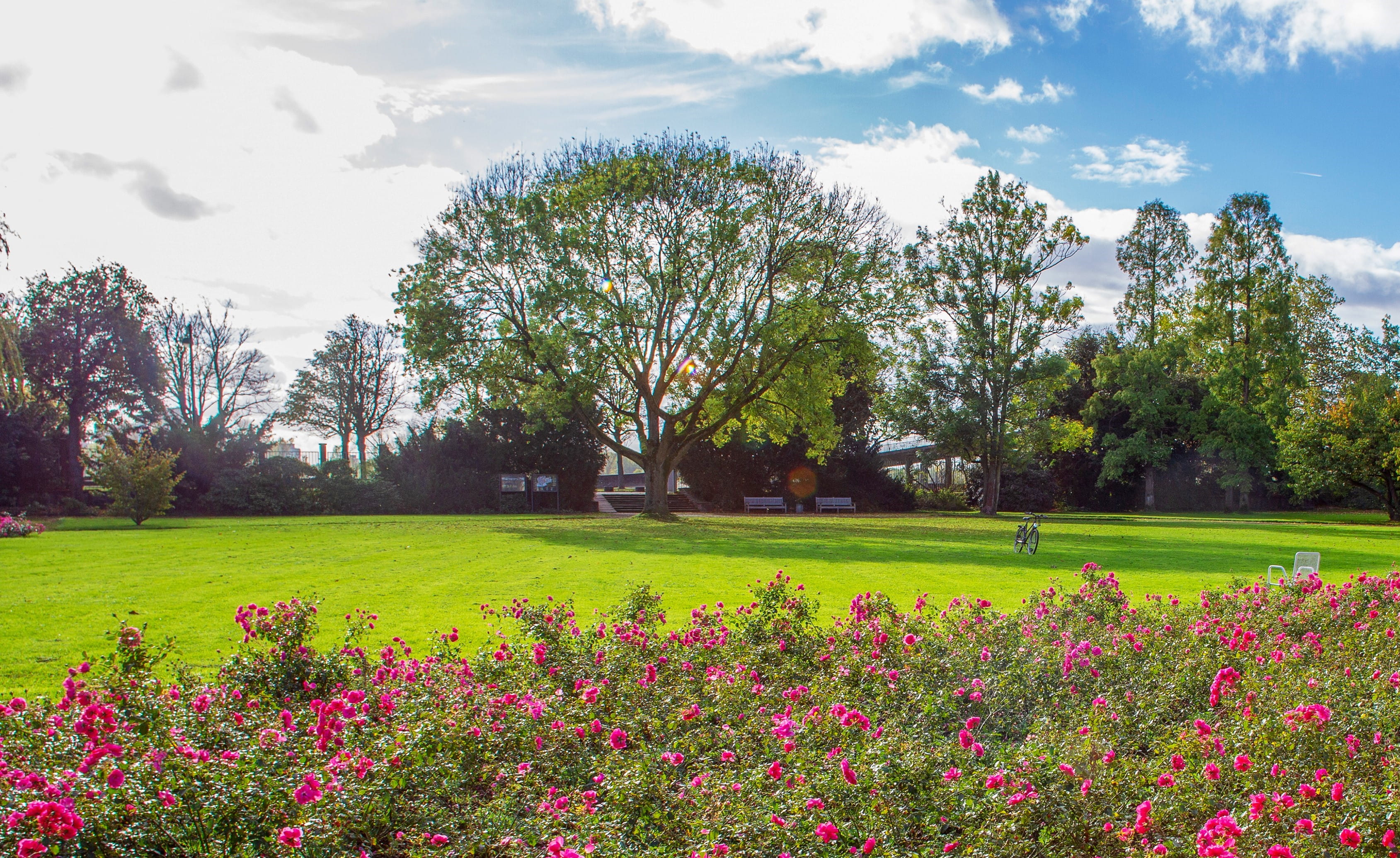 Parken am Florapark QPark.de