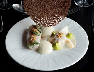 Gourmetret med fisk, urter og sprød topping – kunstnerisk anretning med sauce på en moderne hvid tallerken - Parkering Det Glade Vanvid