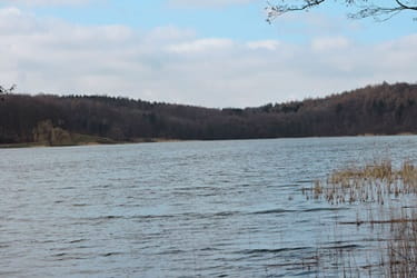 Bagsværd Lake