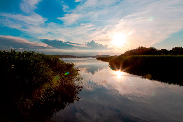 Brabrand sø på en stille aften med solen på vej ned 
