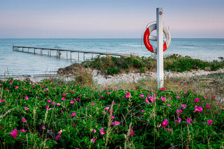 Greve Strand  med en badebro ud i vandet og en redningskrans på stranden