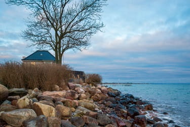 Risskov Strand en vinter eftermidag. Træer uden blade og klippestrand