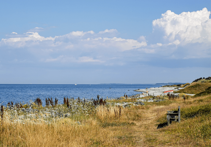  Sjællands Odde nature with the beach, ocean and cliffs visible on a beautiful summer day