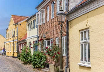 Farverige huse med murstens- og pudsede facader ligger langs en brostensbelagt gade. Blomster og grønne planter vokser foran husene, og gamle gadelamper står langs vejen.